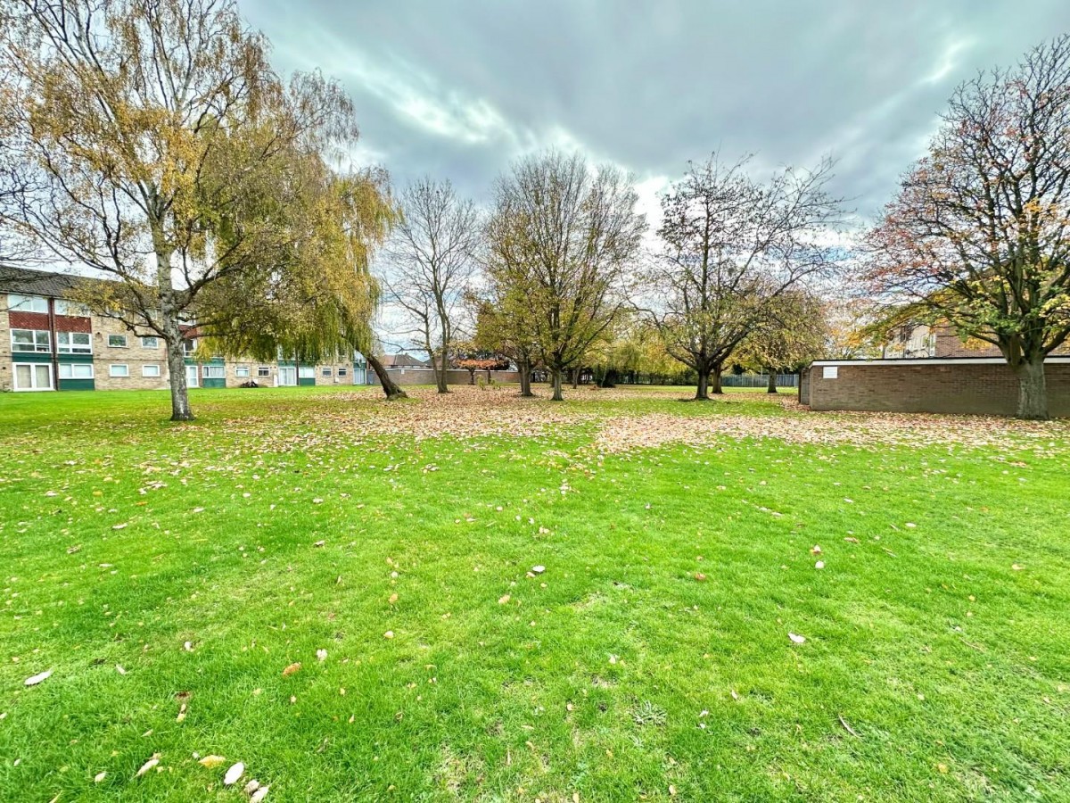 Forris Avenue, Hayes