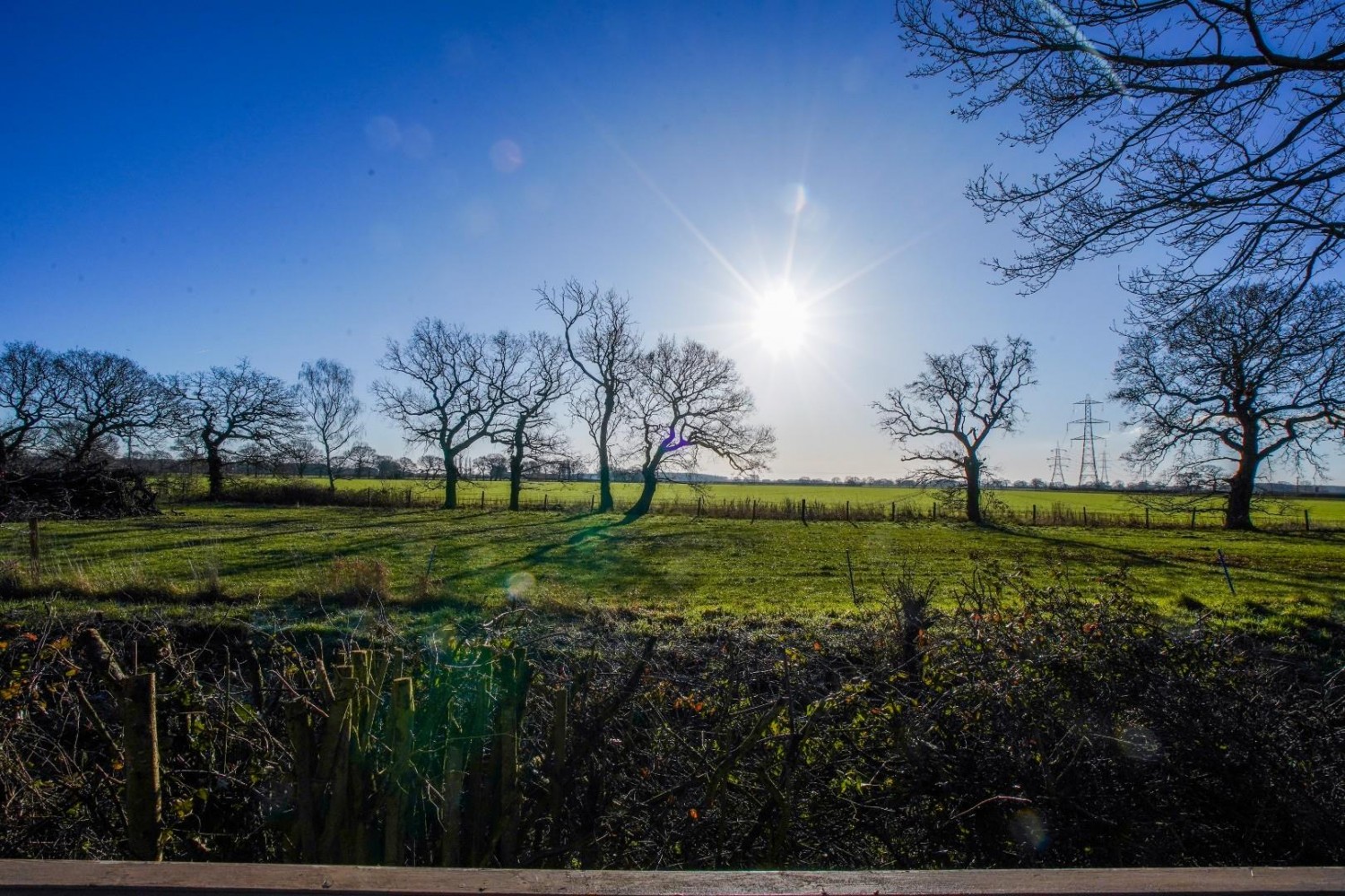 Fine Country Lodges, Street Lane, DN14 7NY