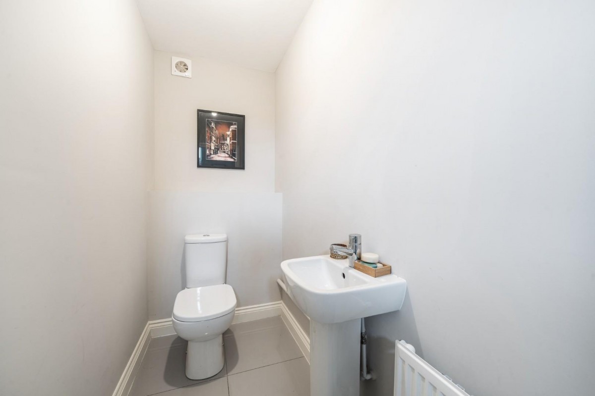 Wisteria Park Gardens