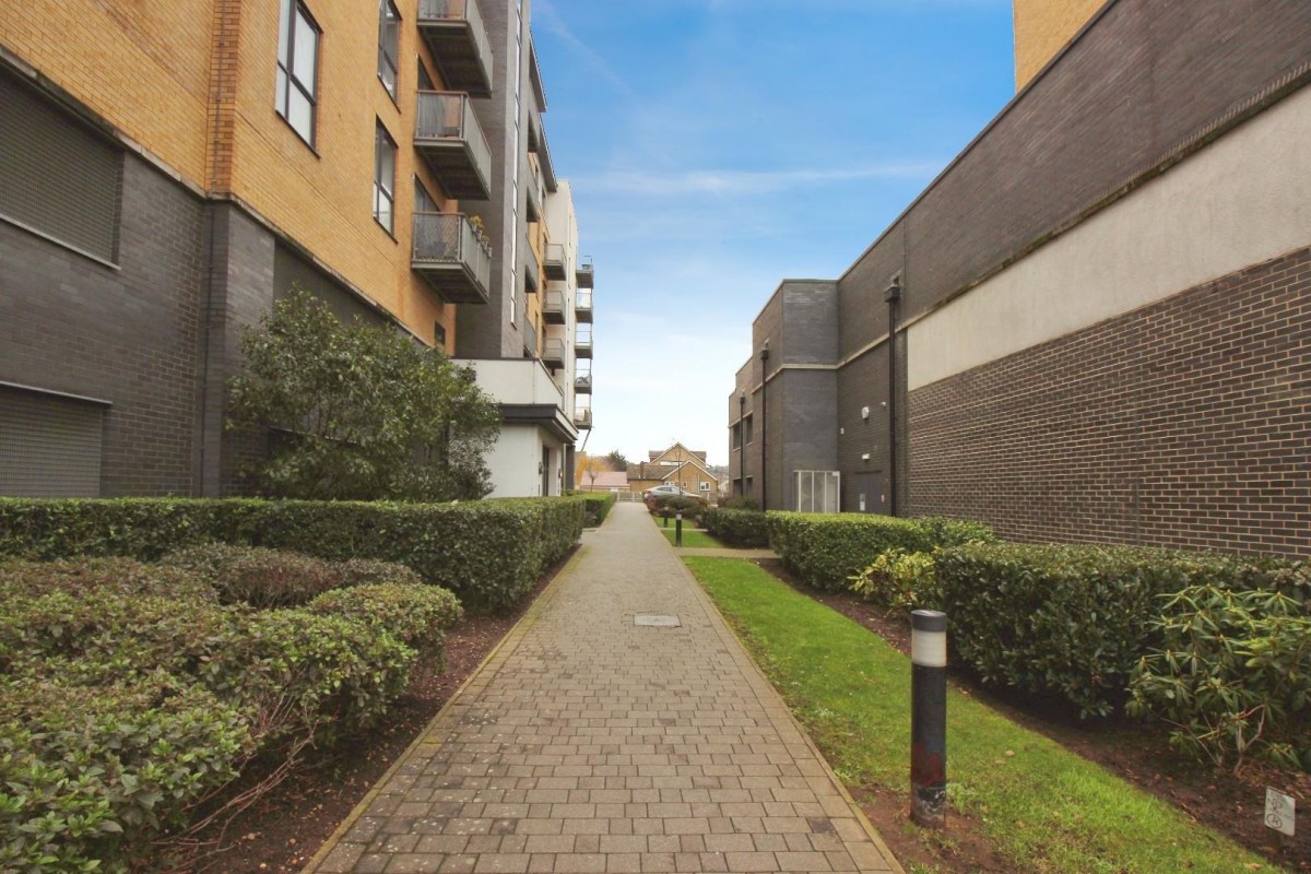 Little Brights Road, Belvedere Park