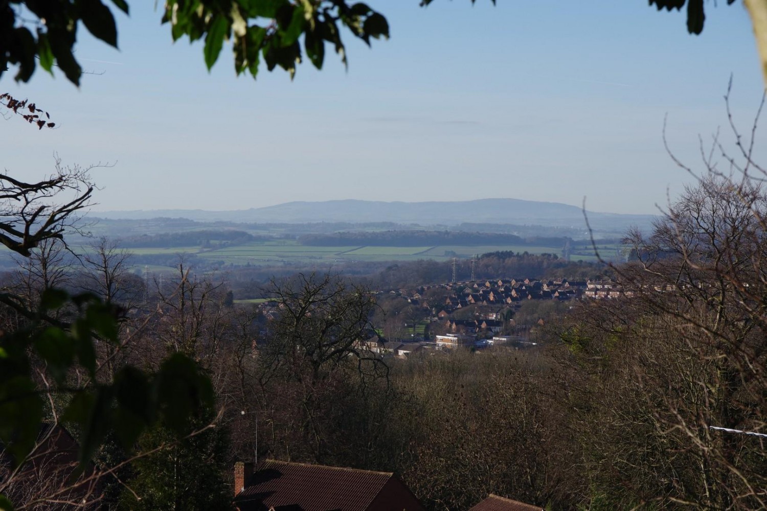 Botany Drive, Dudley