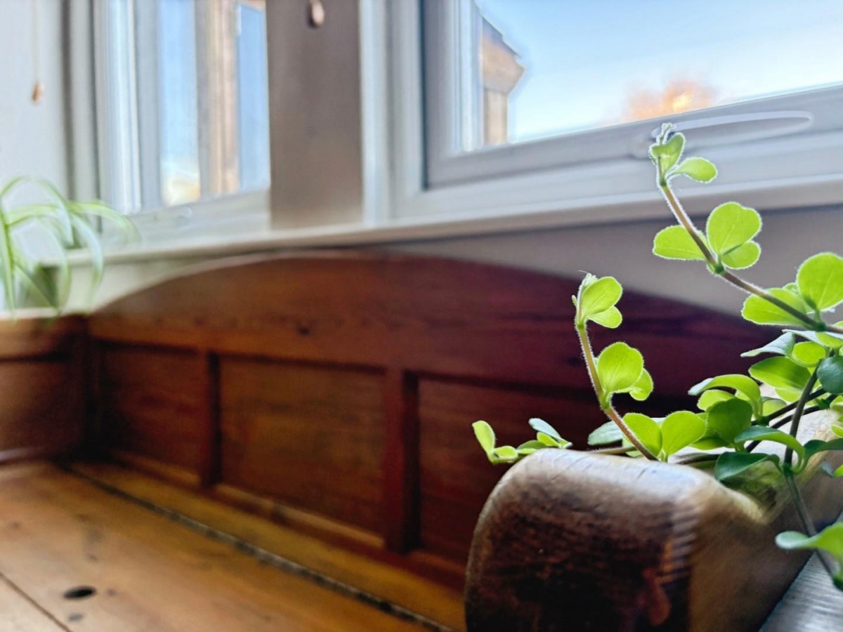 North Row, Sutton-in-Craven