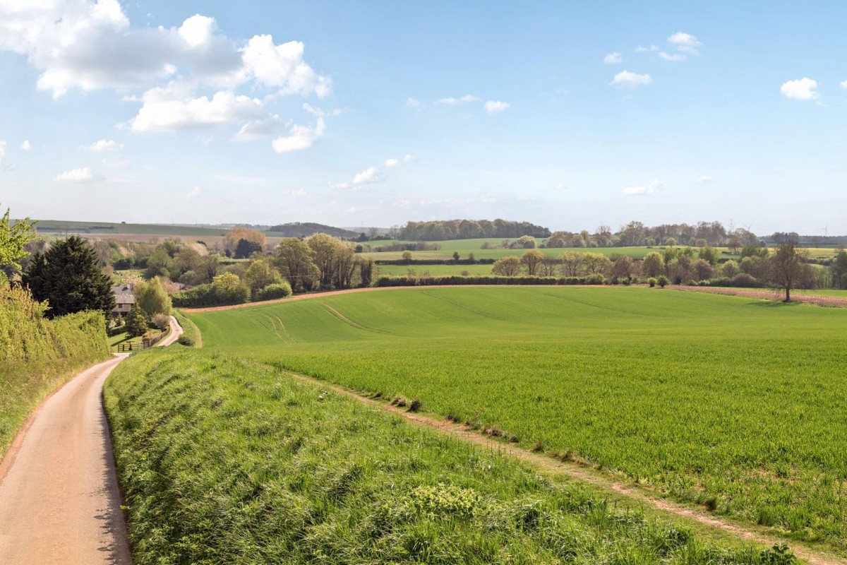 Old London Road, Stutton
