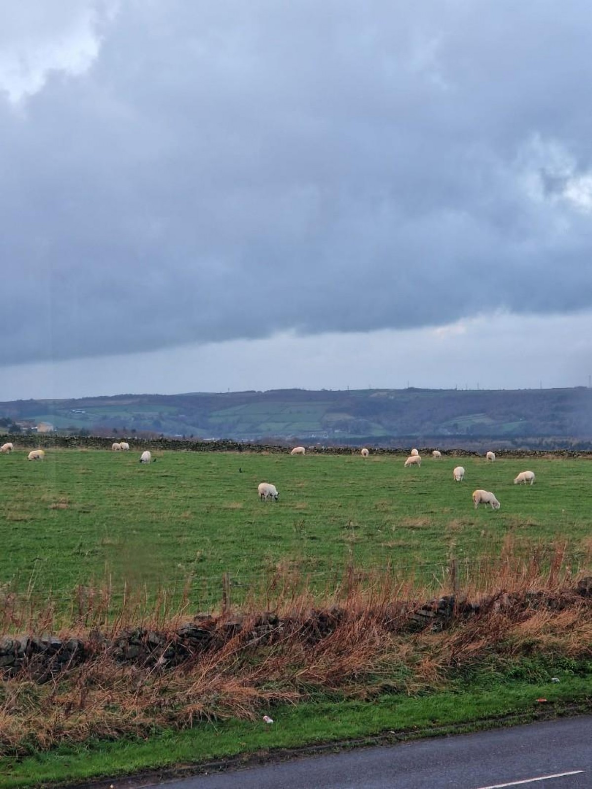 Stoneyridge Avenue, Bradford