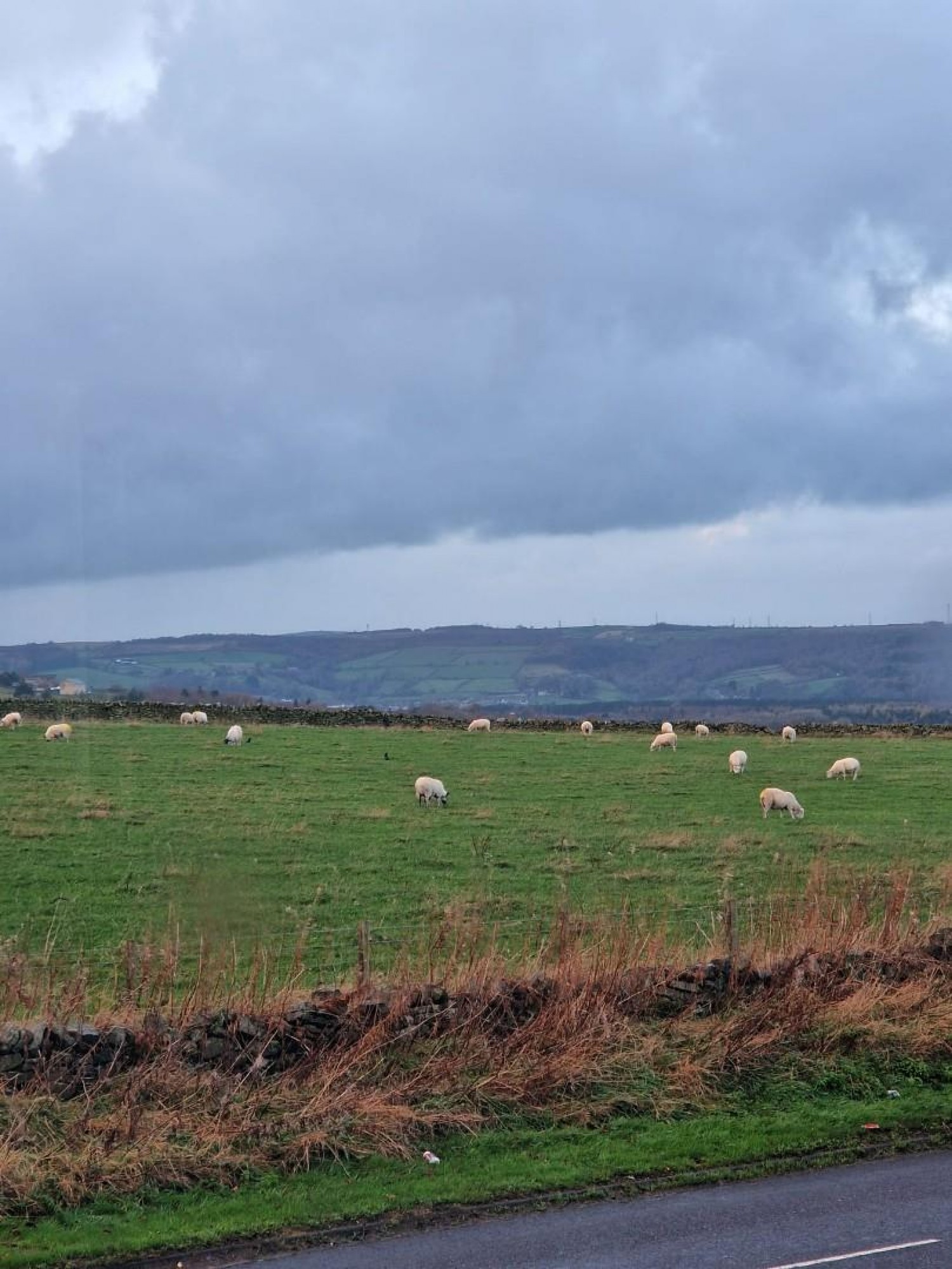 Stoneyridge Avenue, Bradford