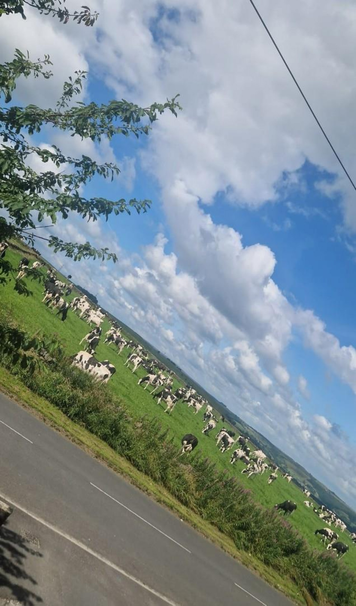 Stoneyridge Avenue, Bradford