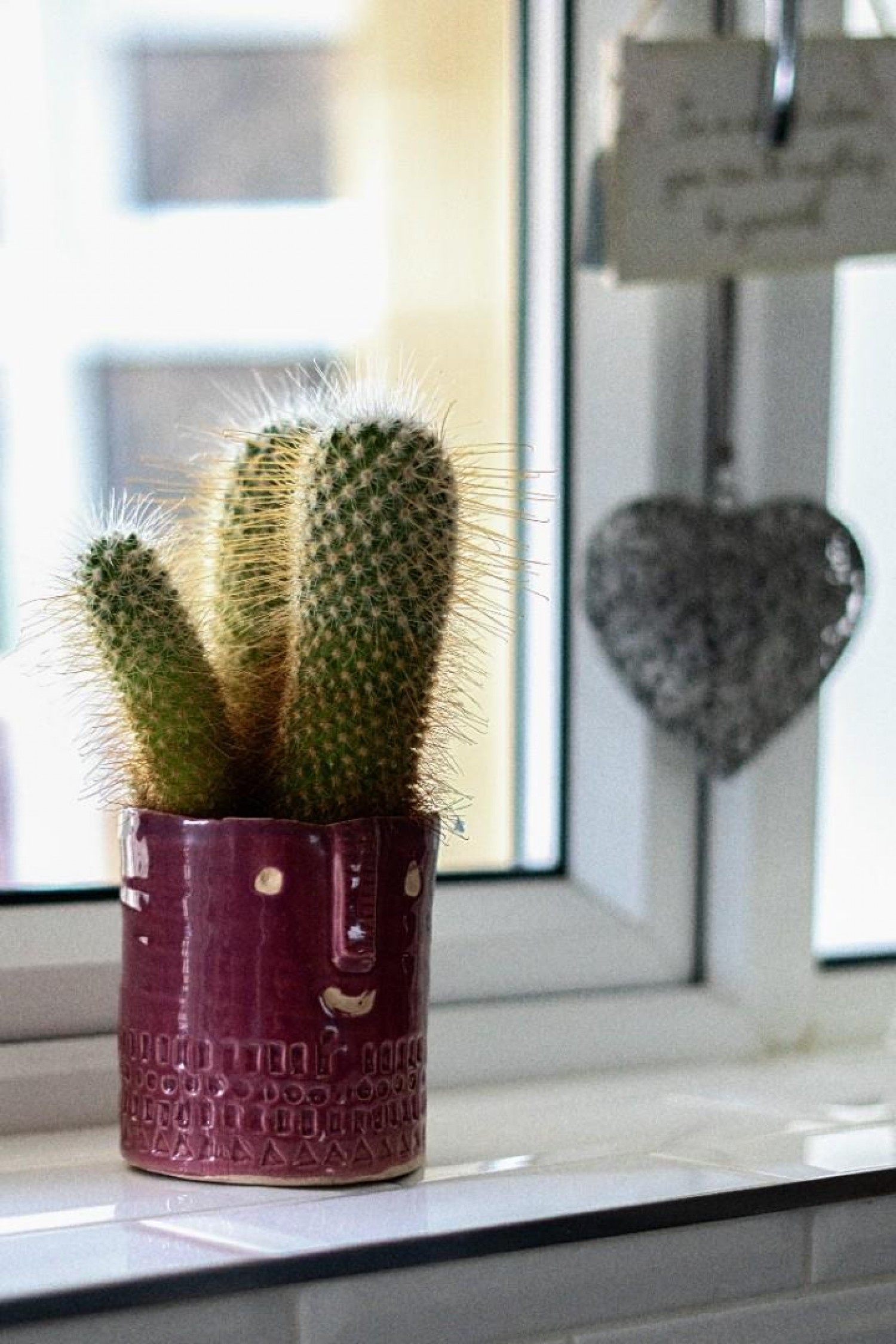 Hudson Way, Tadcaster, North Yorkshire