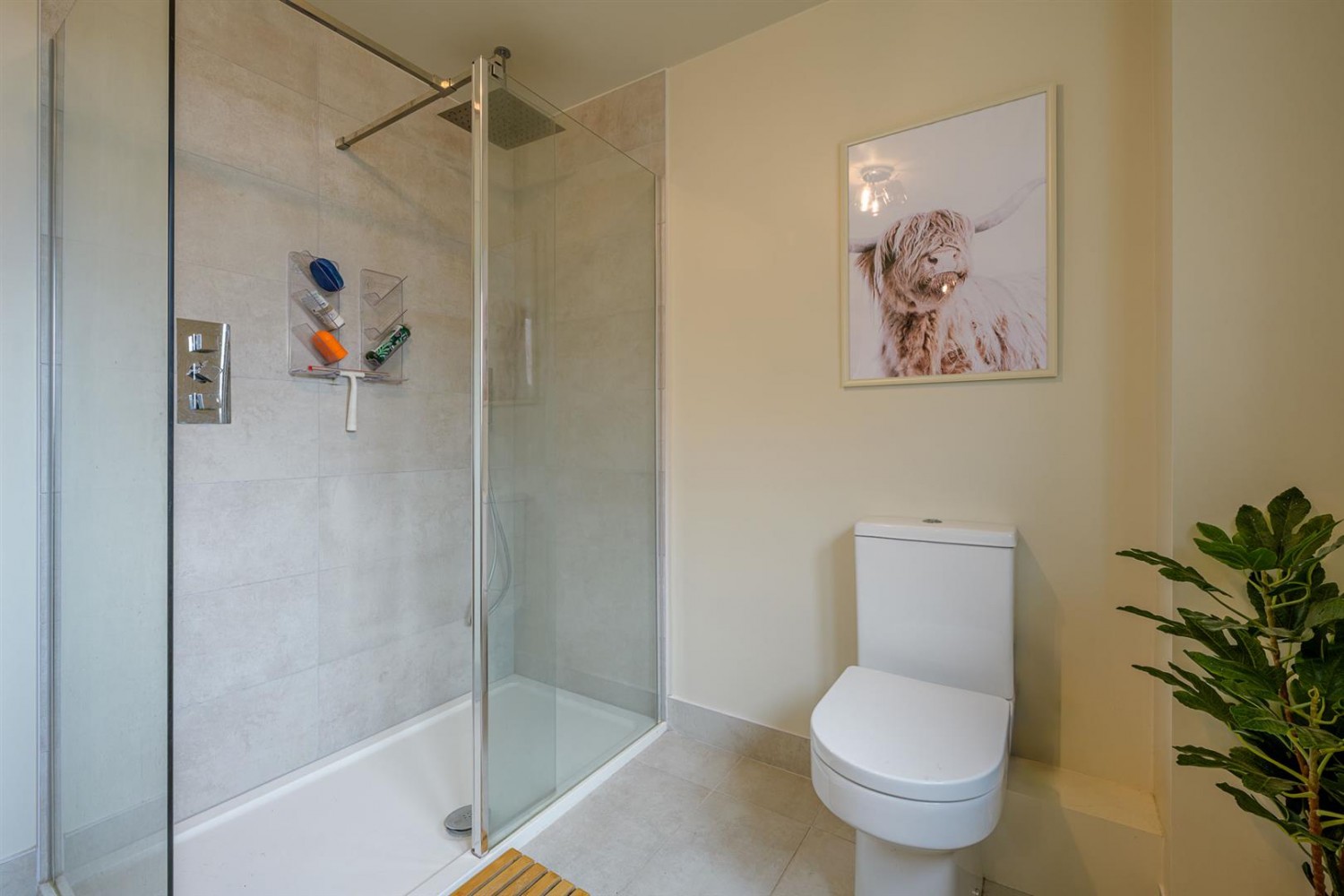 The Woodlands, Stourbridge, DY8 2RA