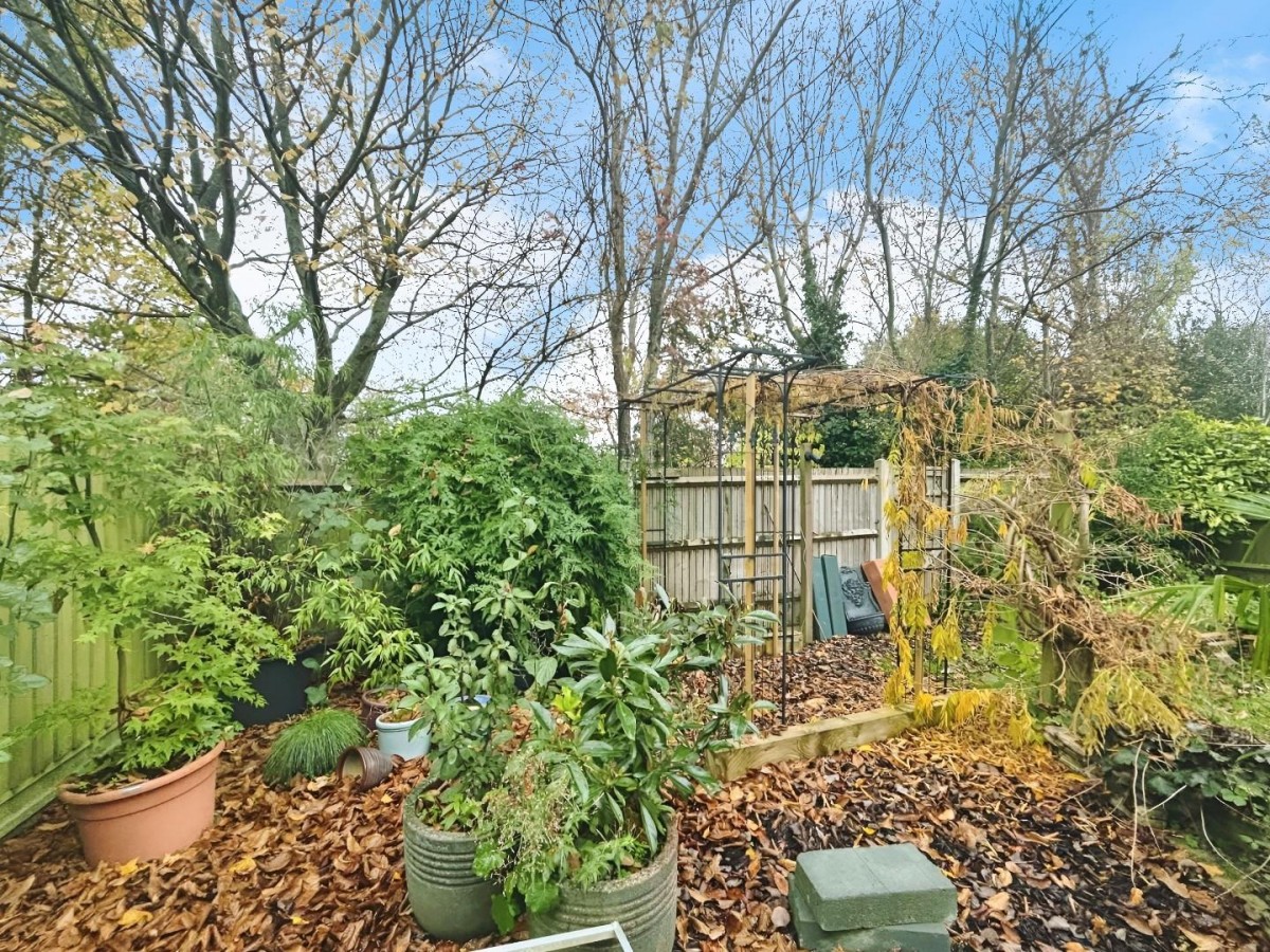 Chestnut Lane, Kingsnorth