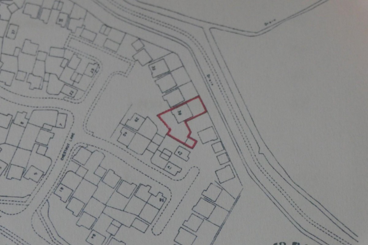 Chestnut Lane, Kingsnorth