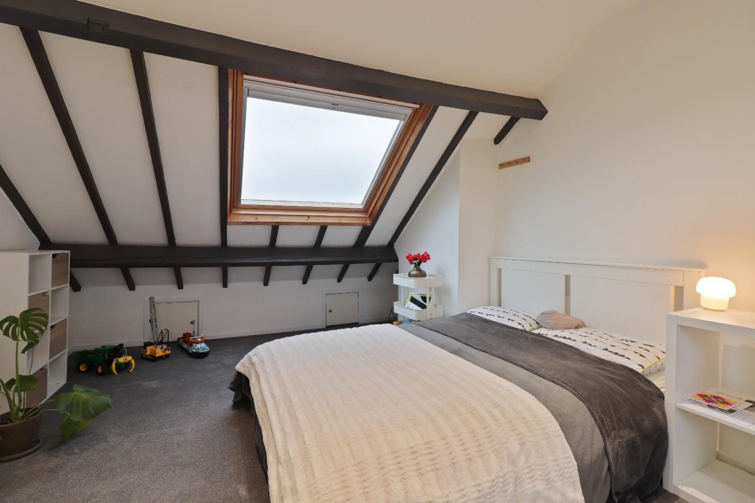 Mulehouse Road, Crookes, Sheffield