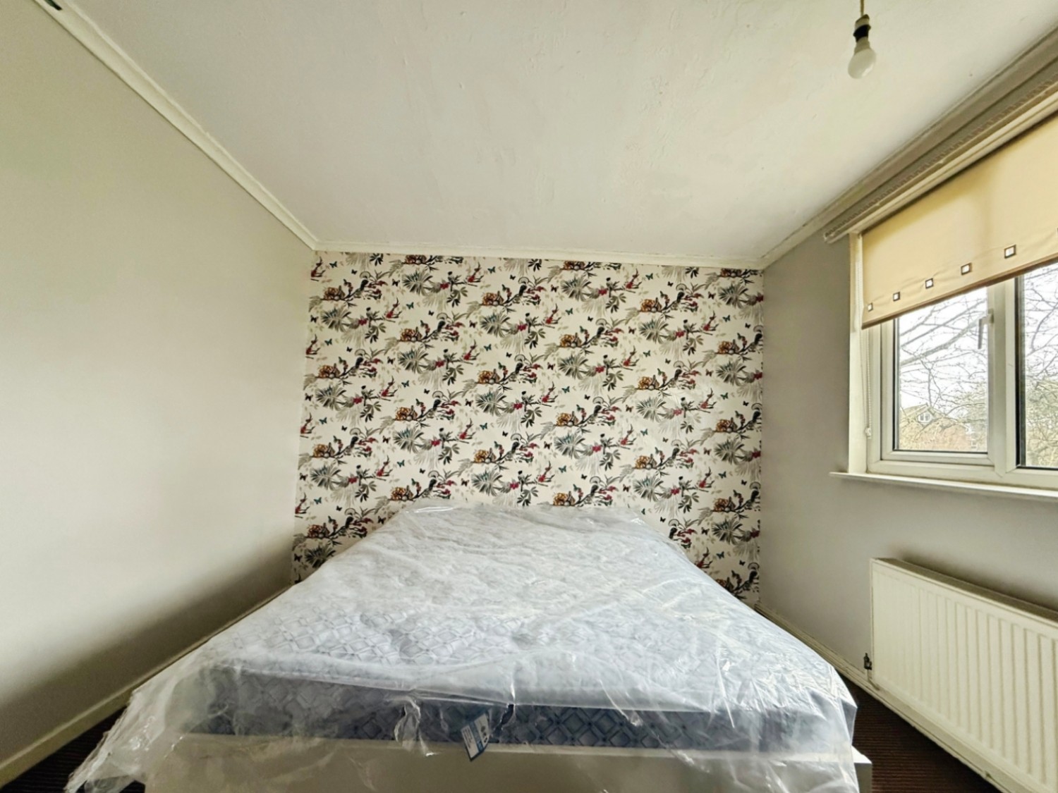 Carisbrooke Road, Leigh