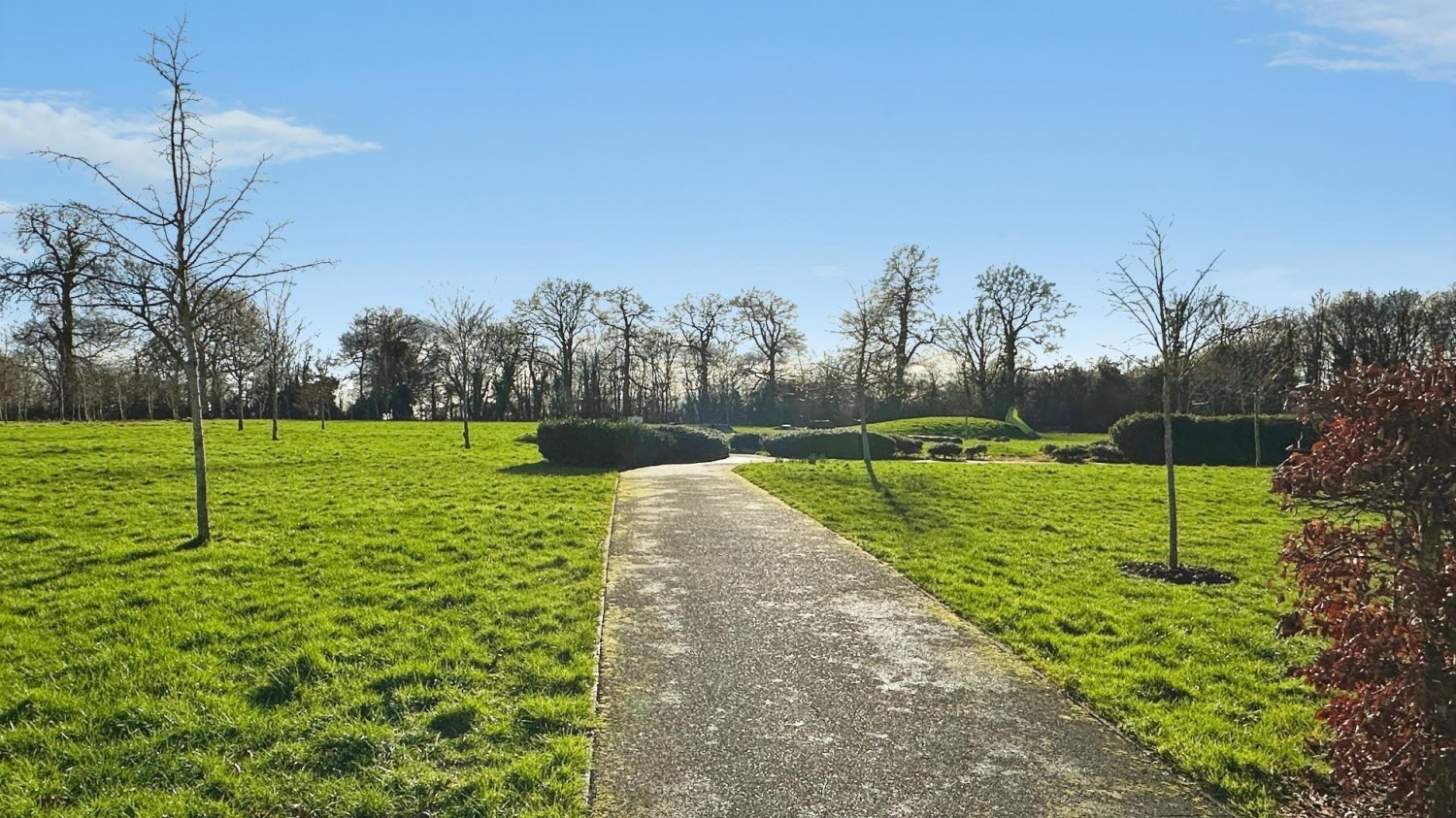 Henry Shute Road, Bristol