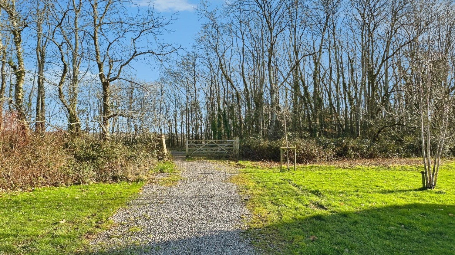 Henry Shute Road, Bristol