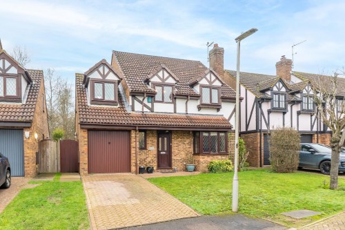 Squirrel Chase, Hemel Hempstead