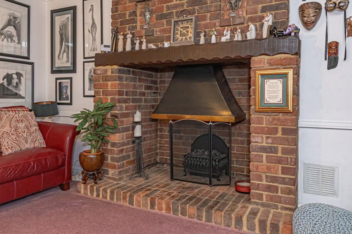 Squirrel Chase, Hemel Hempstead