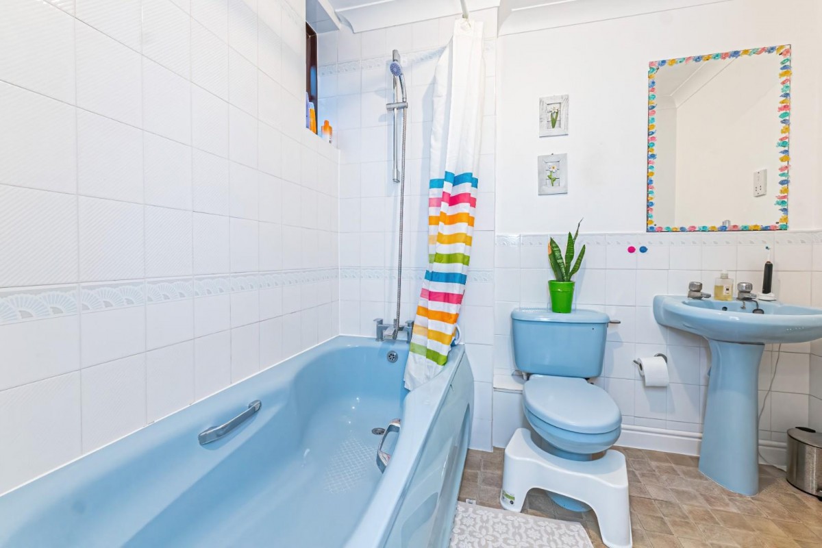 Squirrel Chase, Hemel Hempstead