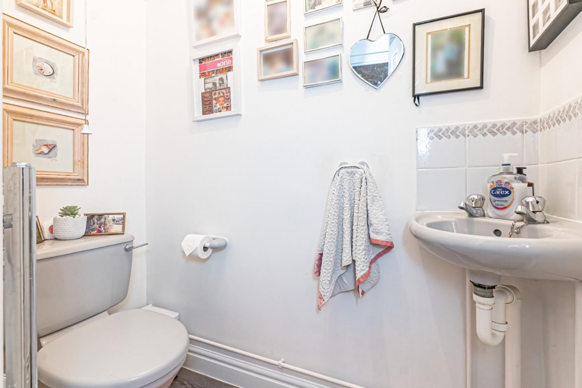 Squirrel Chase, Hemel Hempstead