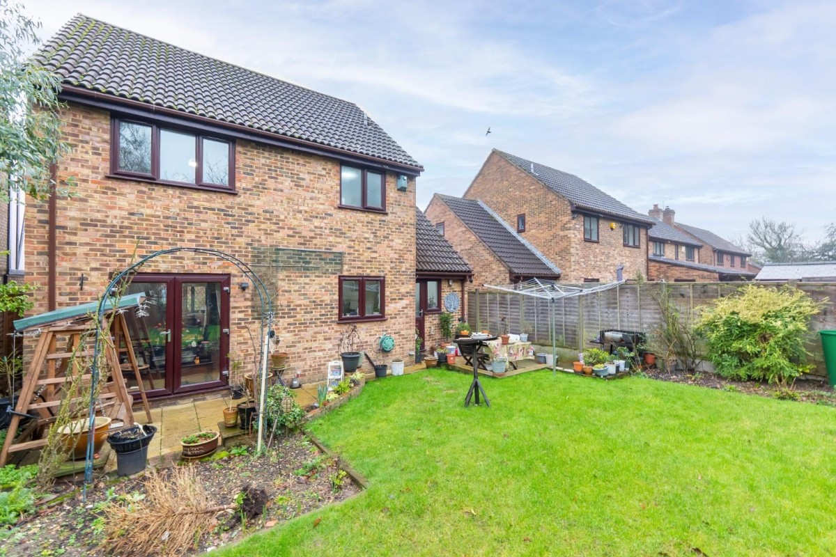 Squirrel Chase, Hemel Hempstead