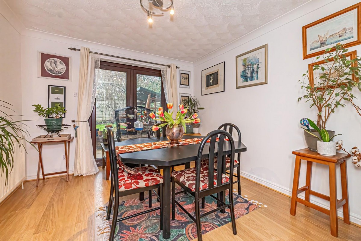 Squirrel Chase, Hemel Hempstead