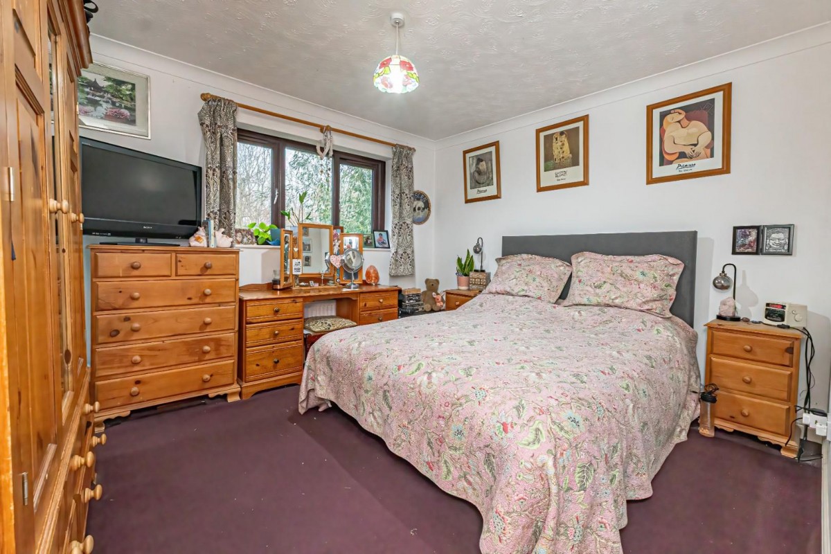 Squirrel Chase, Hemel Hempstead