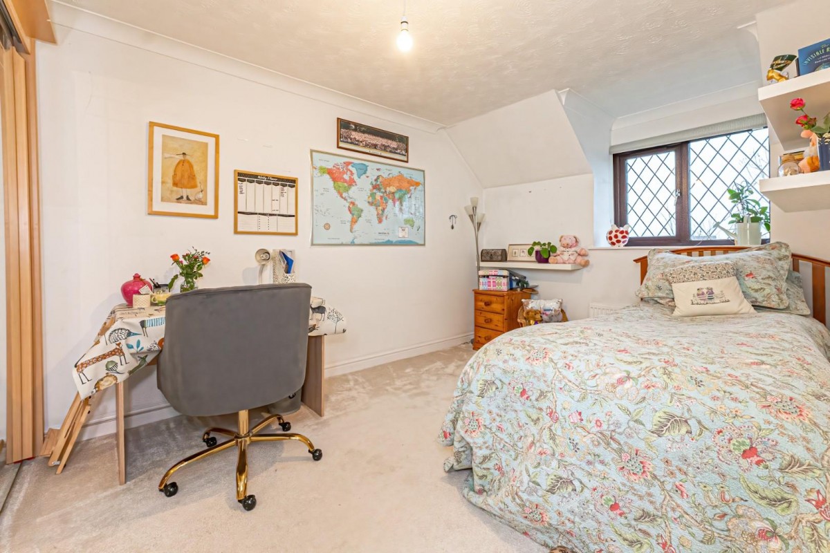 Squirrel Chase, Hemel Hempstead