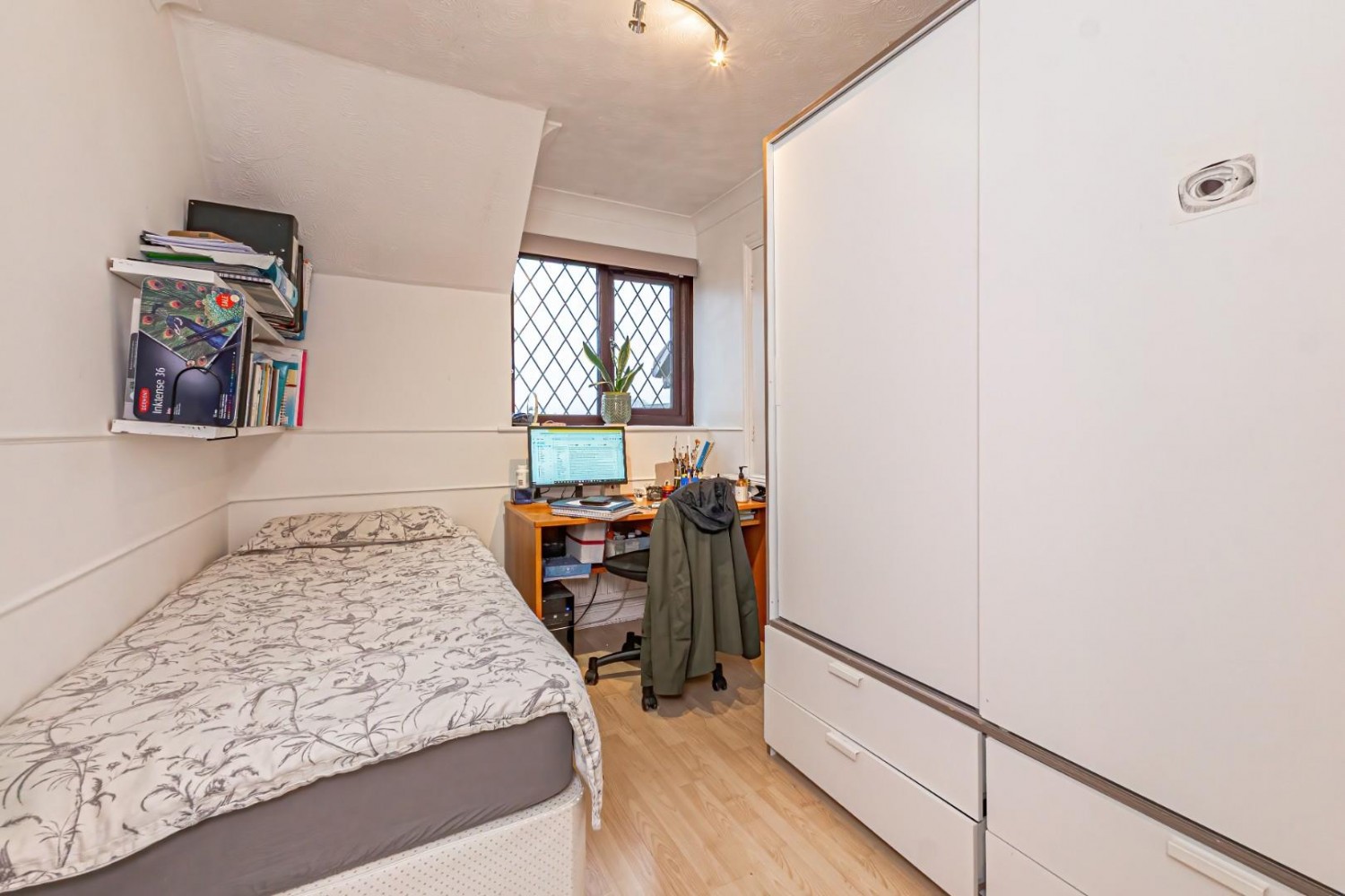 Squirrel Chase, Hemel Hempstead