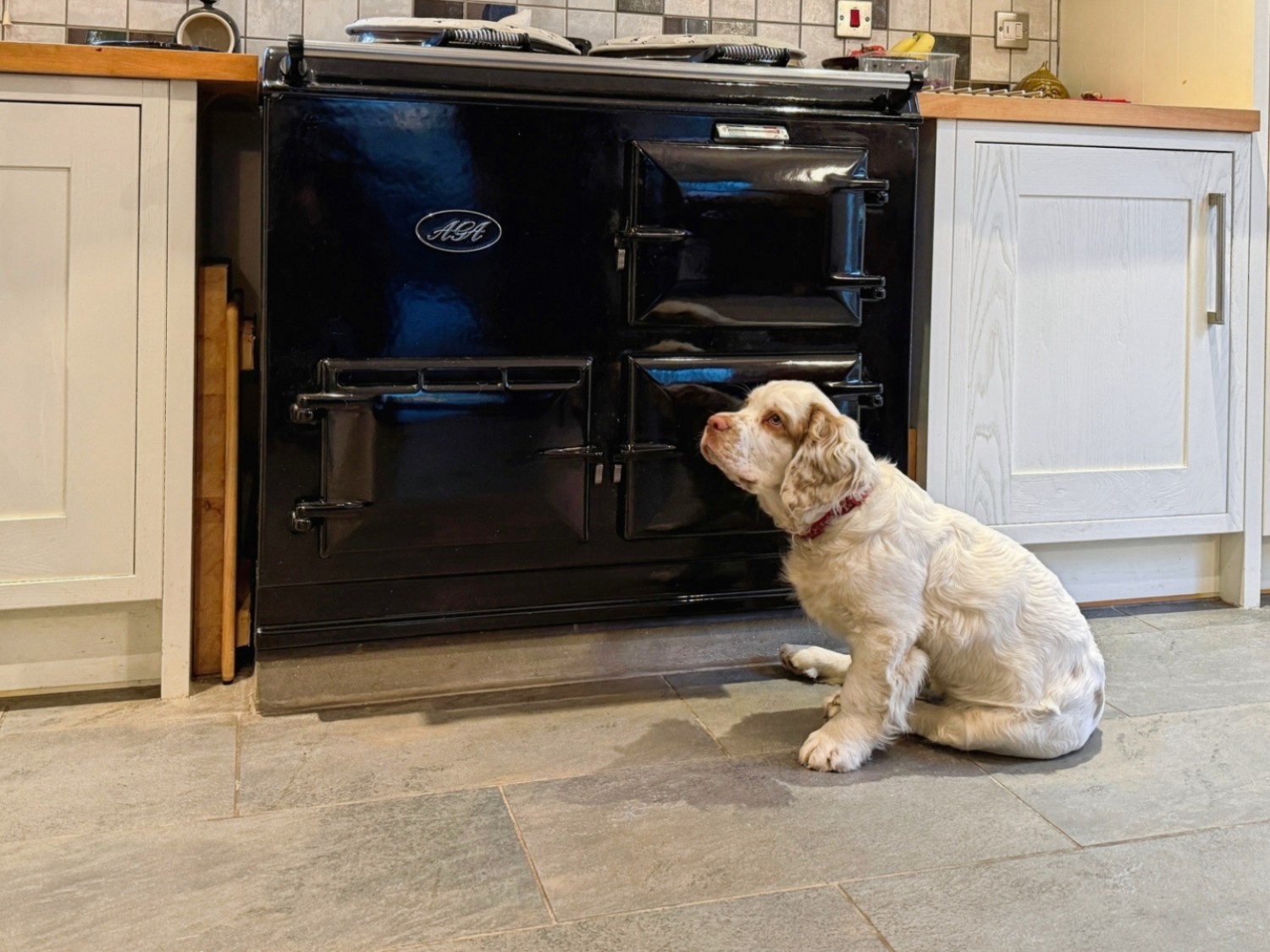 Ash Close, Kings Stanley, Stonehouse