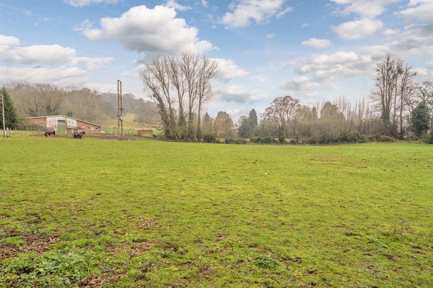 Meadows Reach, Pedmore Lane, Stourbridge, DY9 0SY