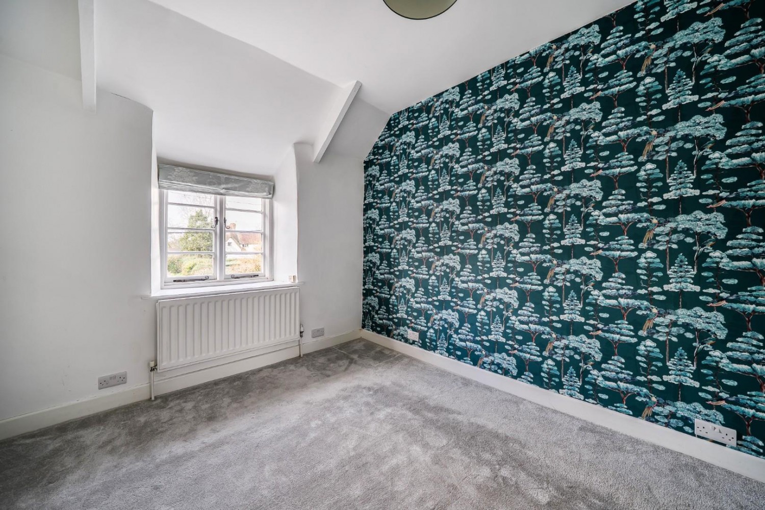 Newtown, Milborne Port, Sherborne