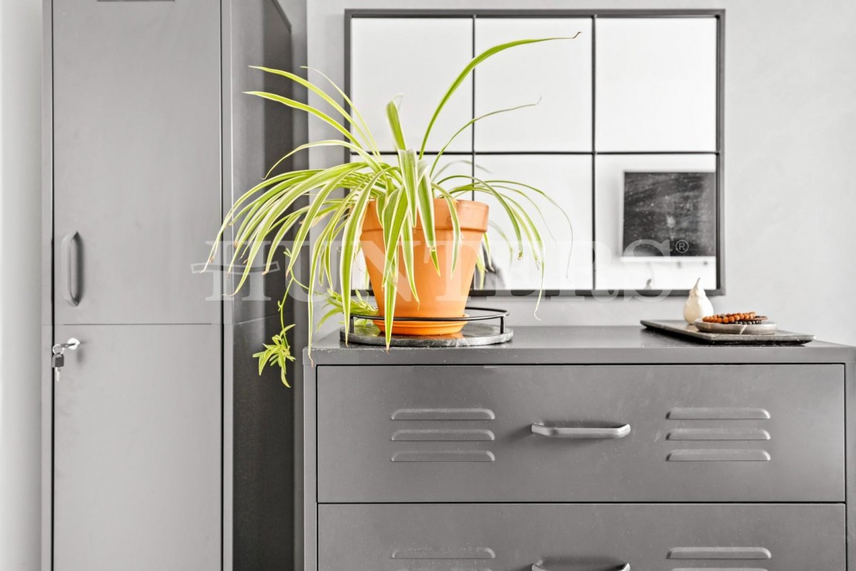 Orchid House, Park View Road, N17