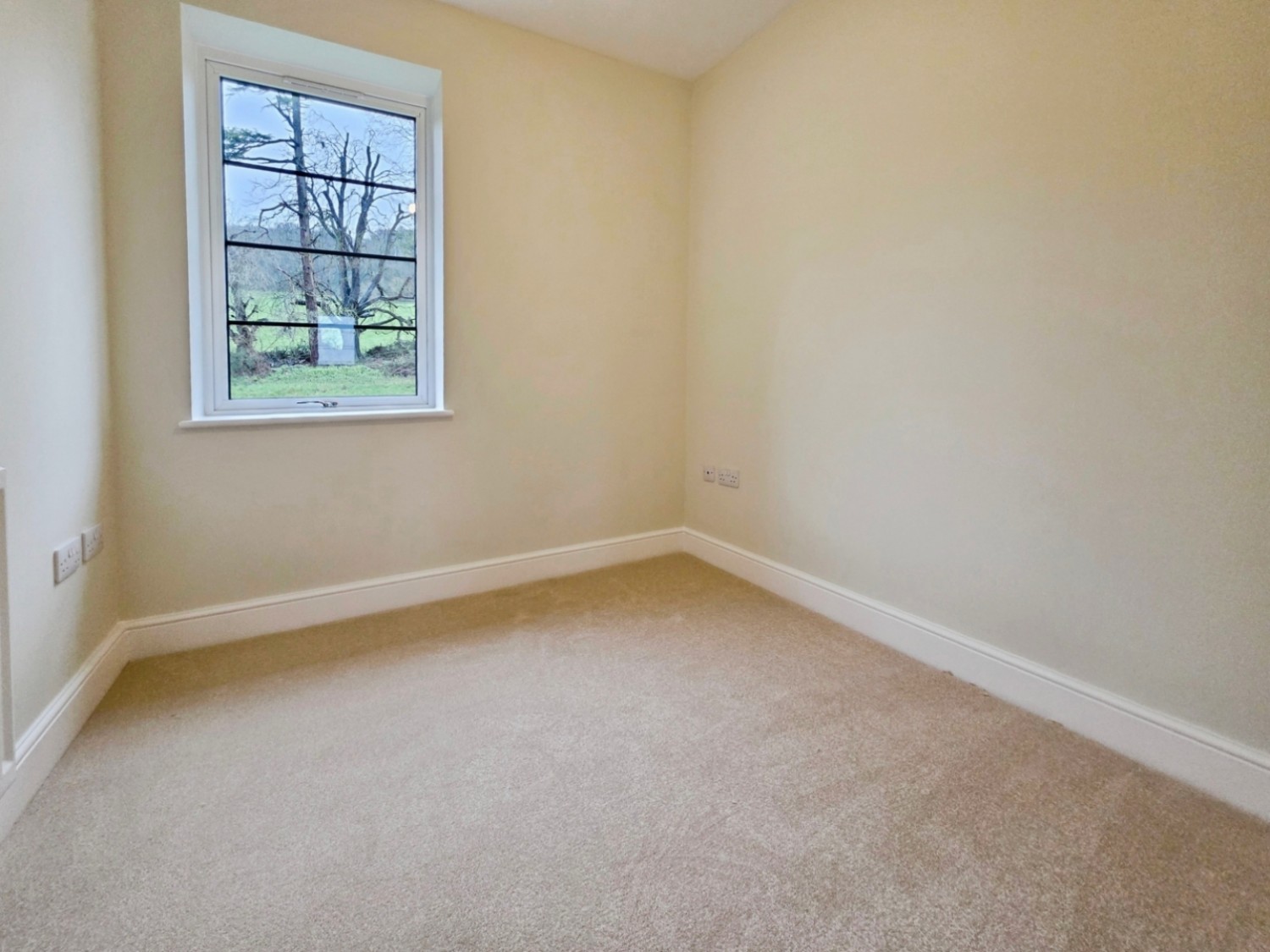 Beatrice Webb Lane, Standish