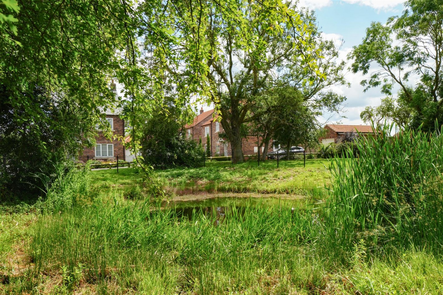 Pond View, Tollerton, York