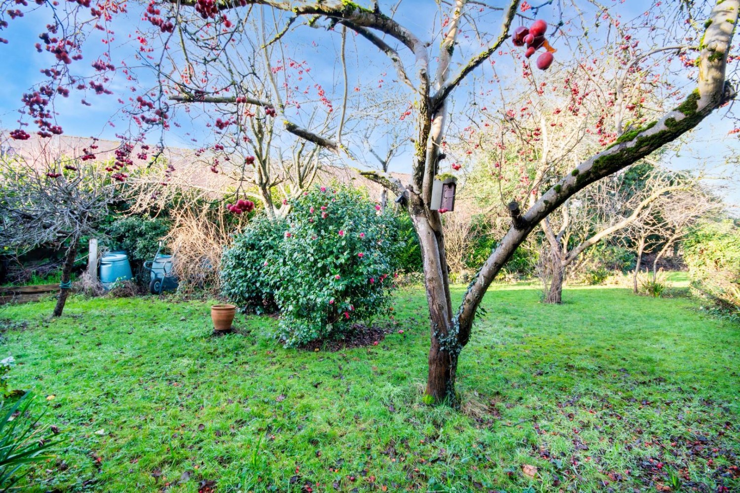 The Green, Finningley, Doncaster