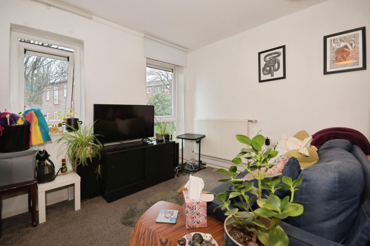 Grammar Street, Walkley, S6