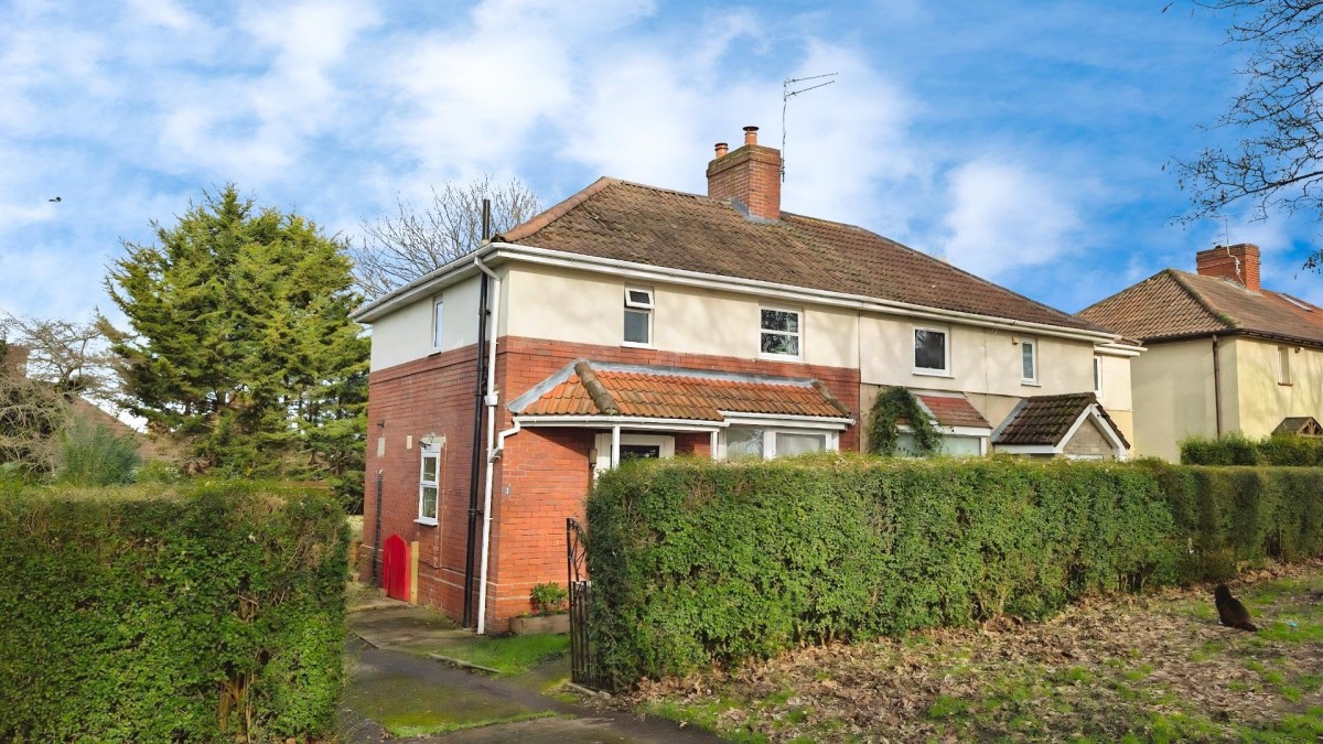 Maple Avenue, Bristol