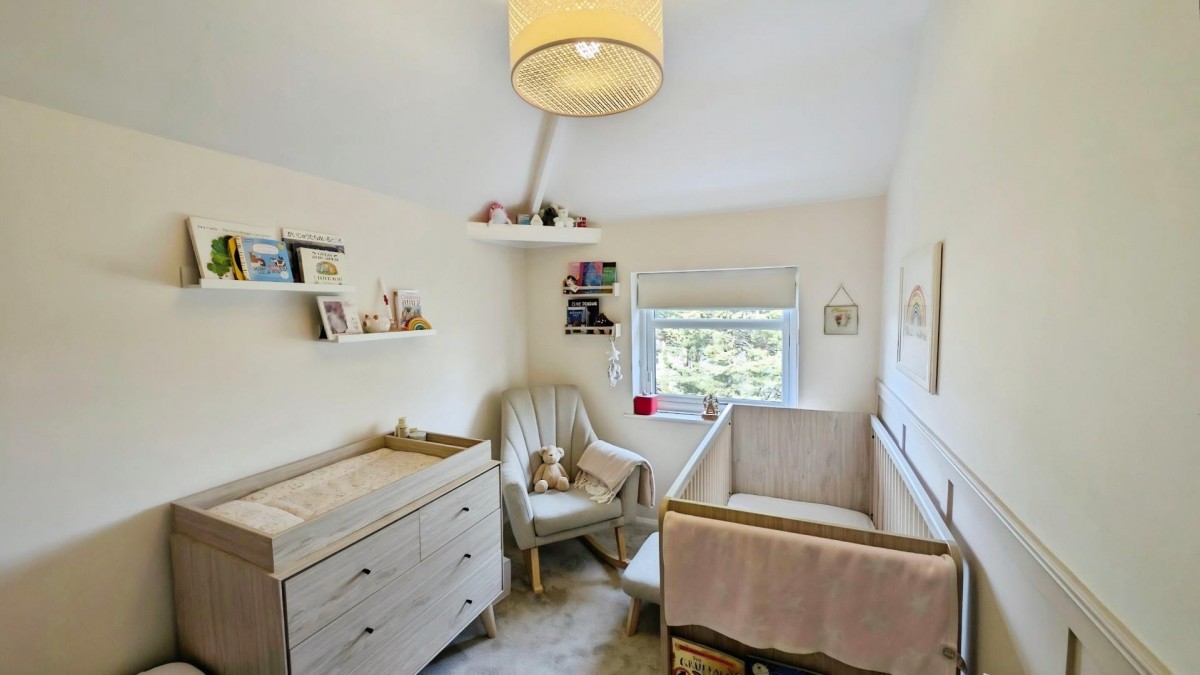 Maple Avenue, Bristol