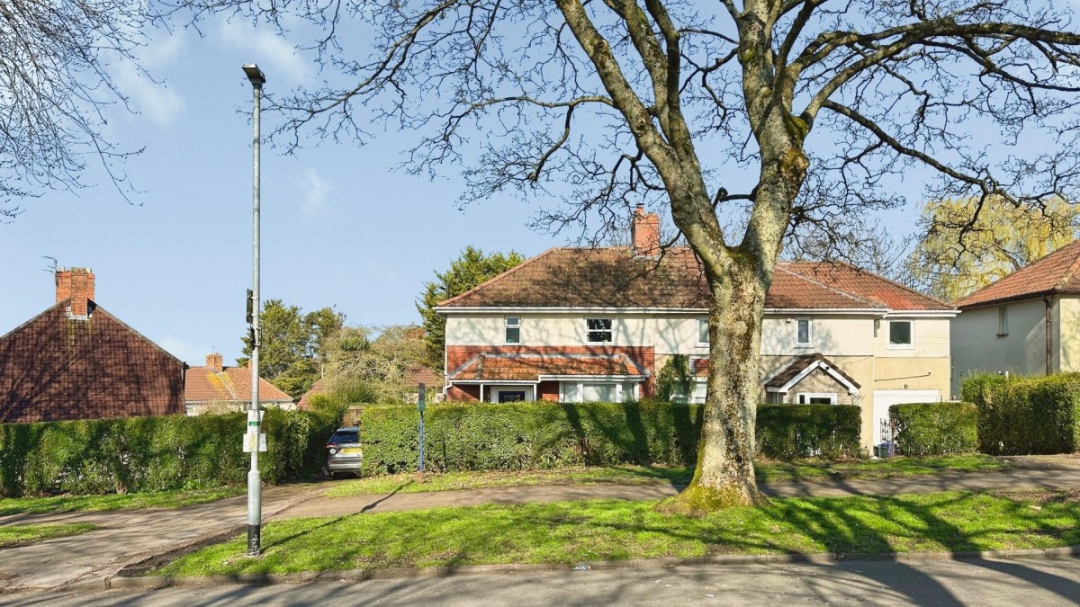 Maple Avenue, Bristol