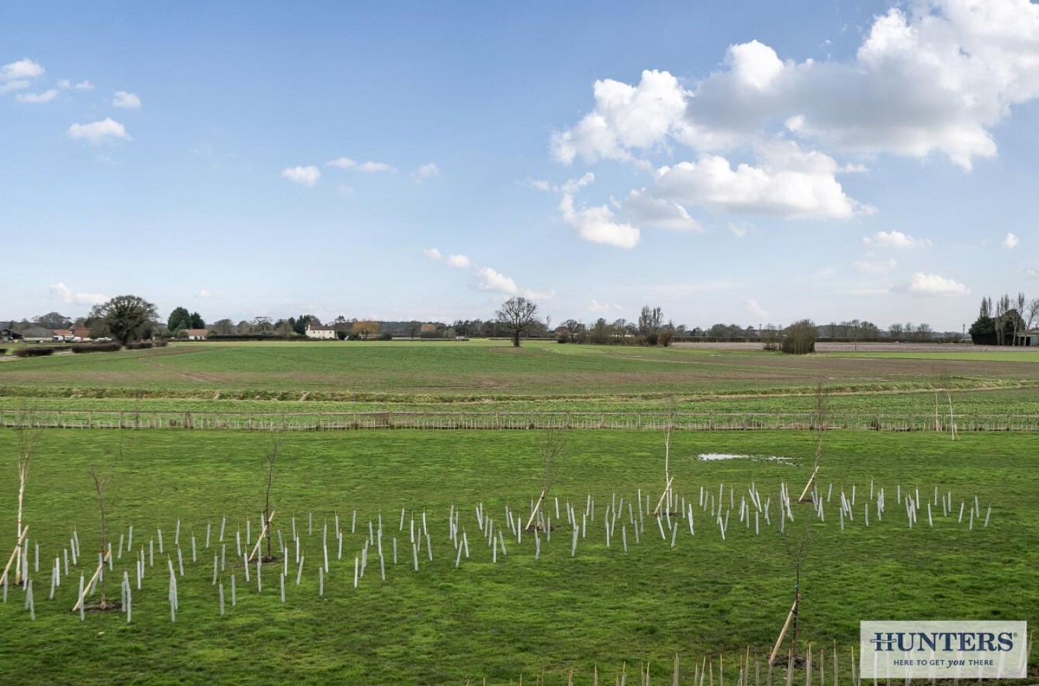 Grange Meadows, Selby