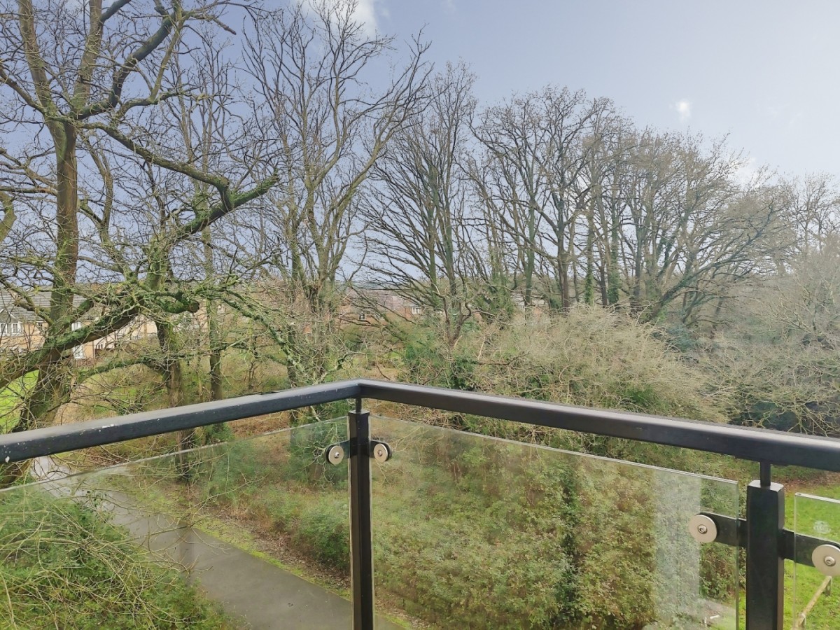 Budd Grove, Winnersh, Wokingham