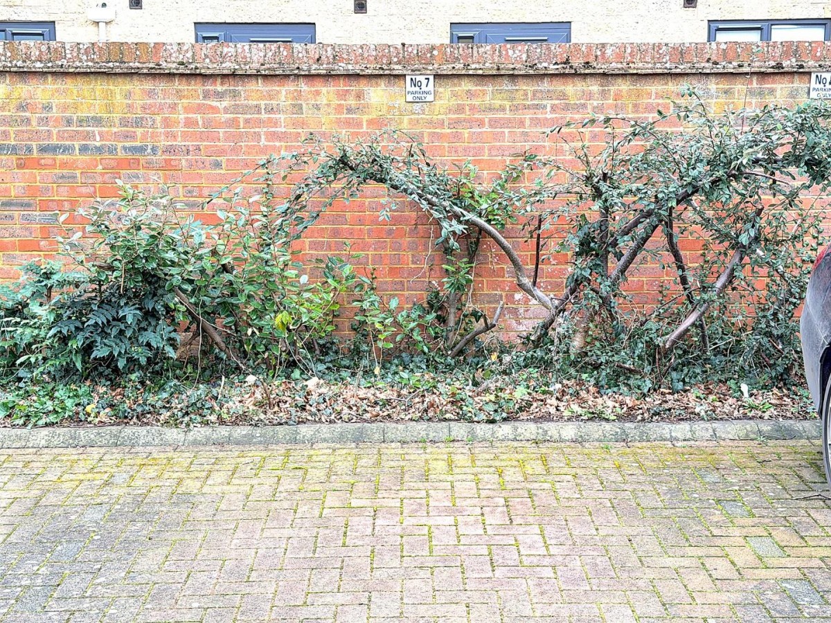 Village Mews, Village Road, Cheltenham