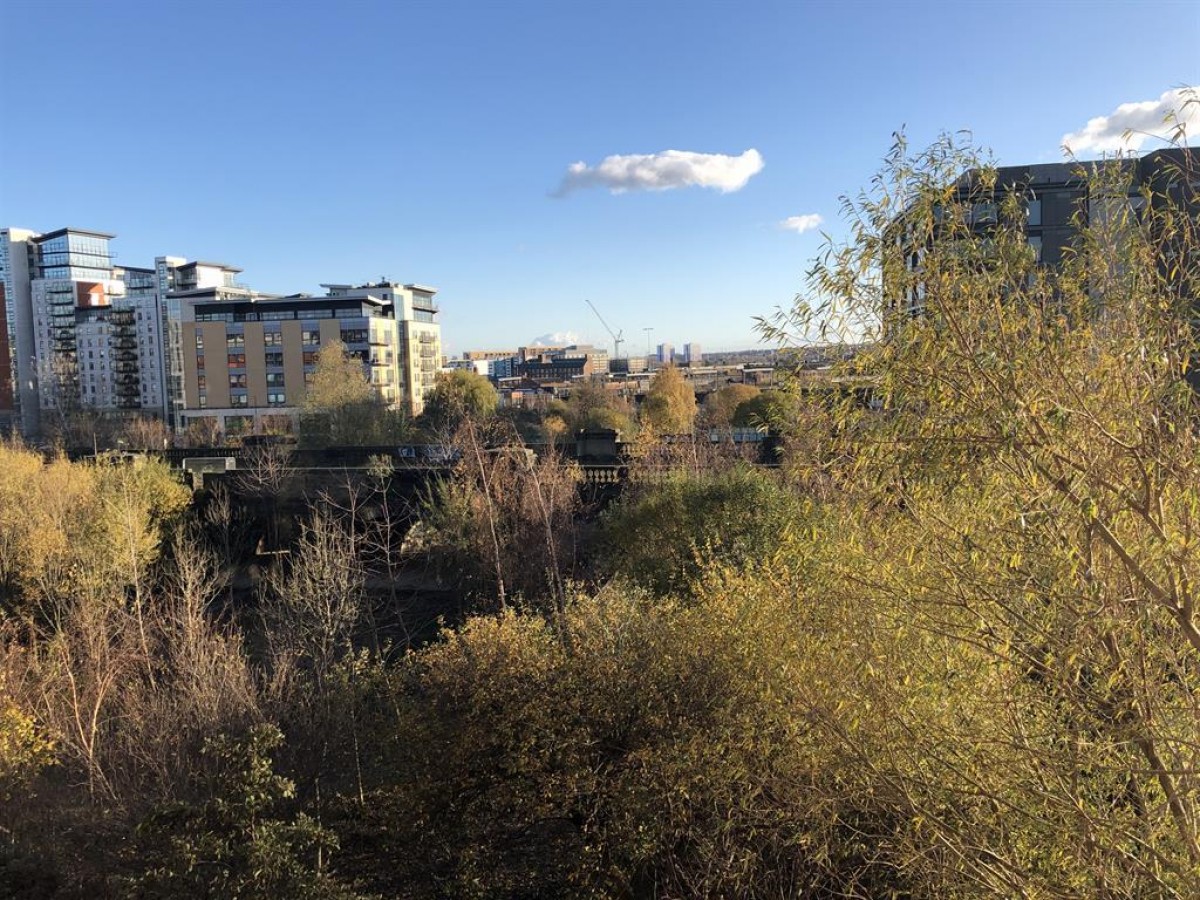 Catalina, City Island, Gotts Road