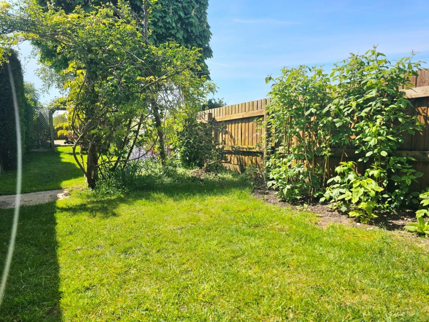 Lynch Road, Berkeley