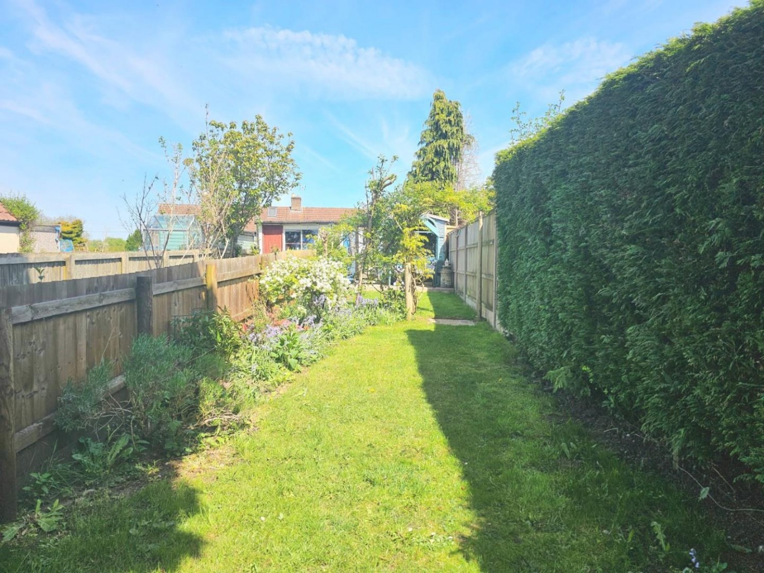 Lynch Road, Berkeley