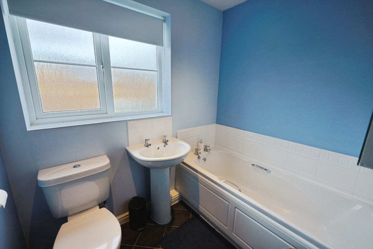 Celandine Way, Shildon