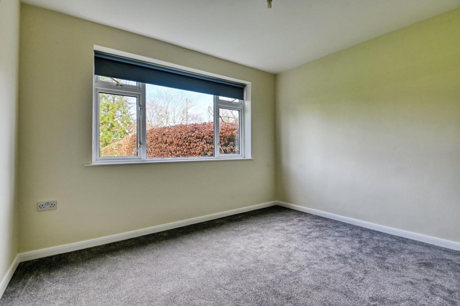 Lime Grove, Newton Regis, Tamworth