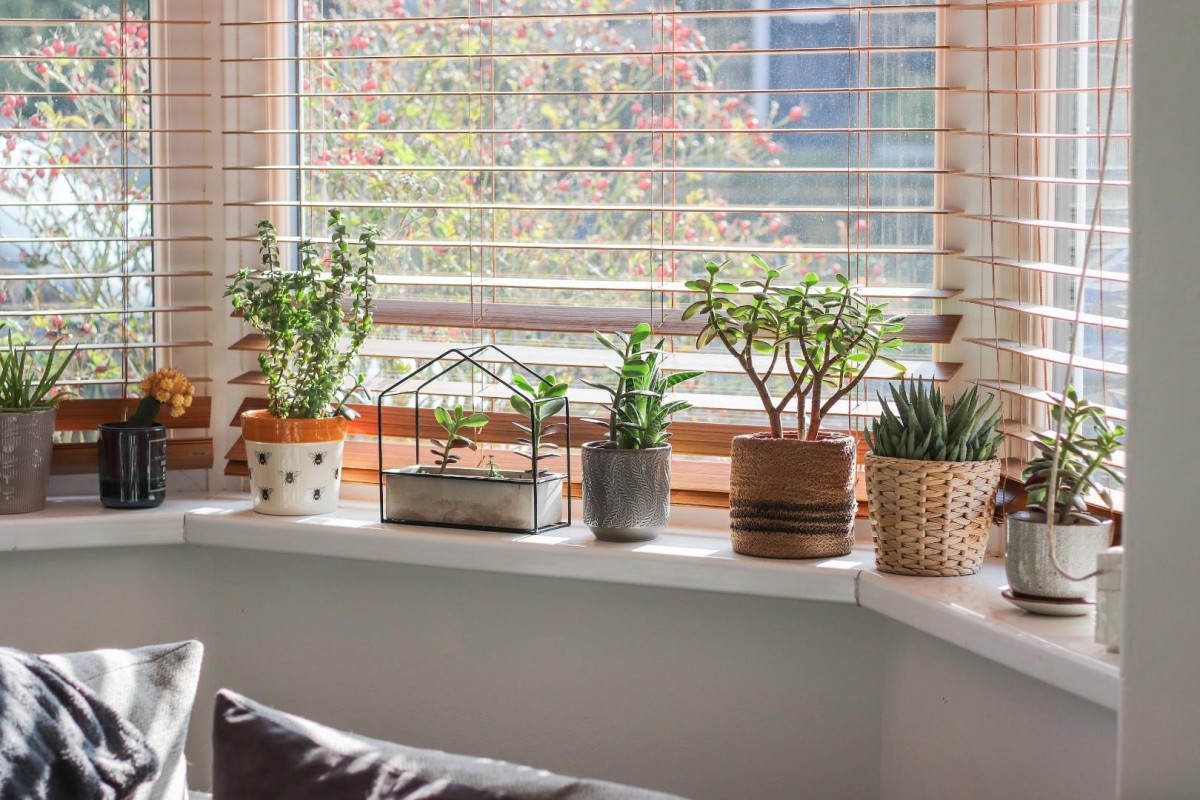 Walkley Crescent Road, Walkley, Sheffield