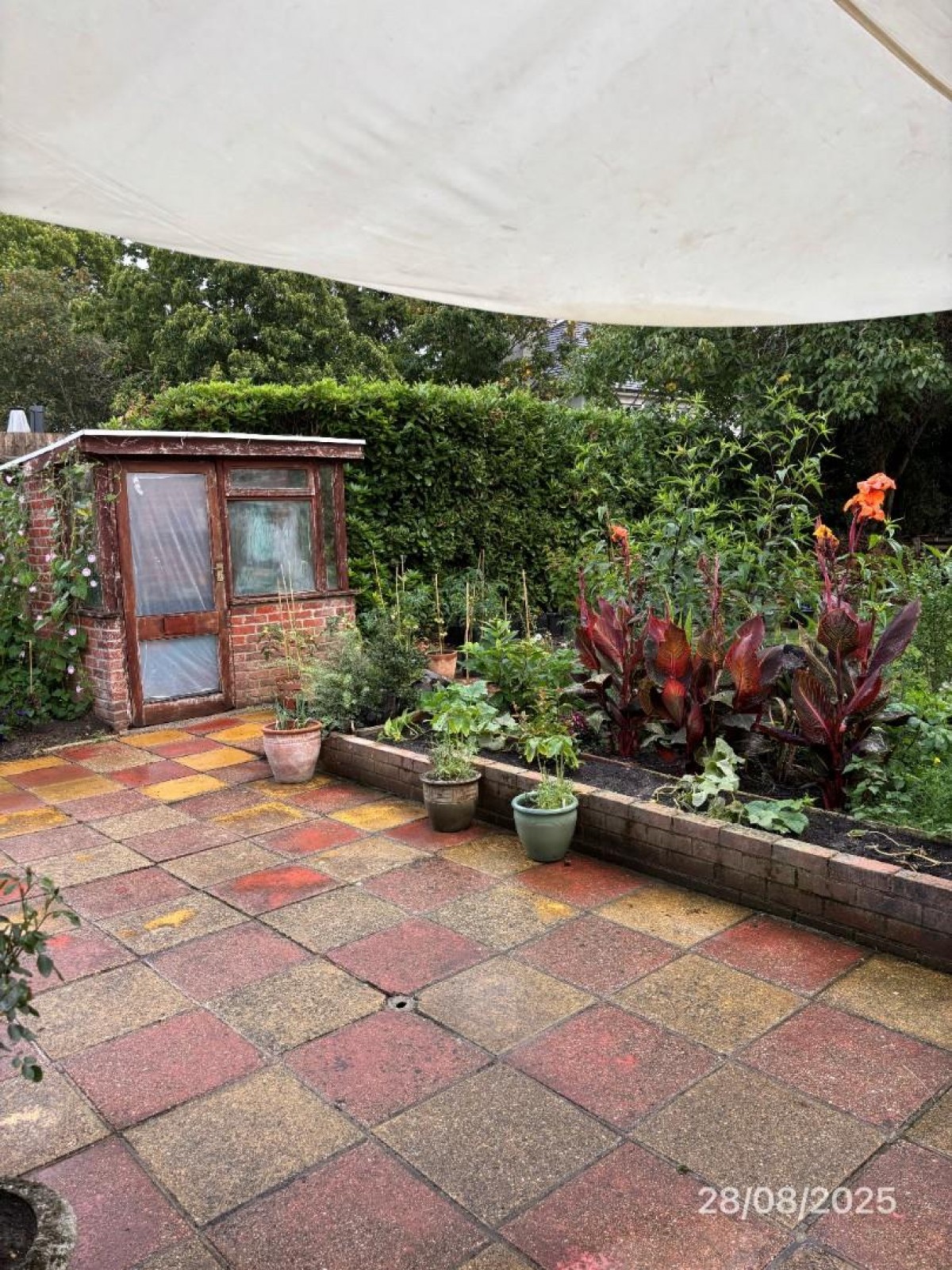 The Grove, Christchurch