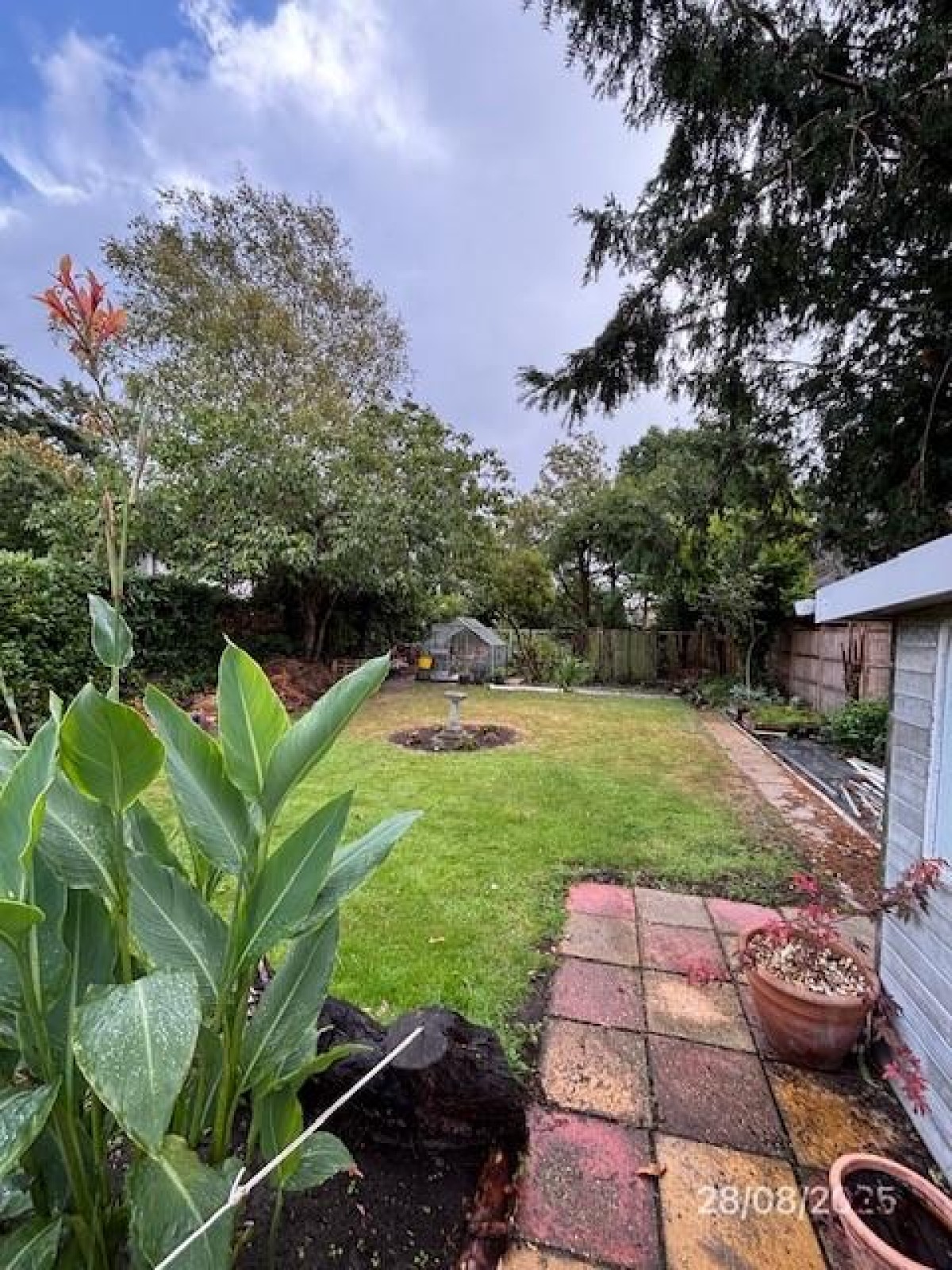 The Grove, Christchurch