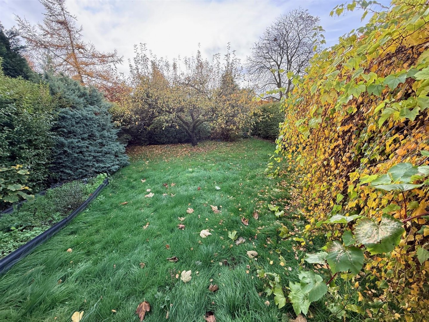 South Road, Stourbridge, DY8 3YB